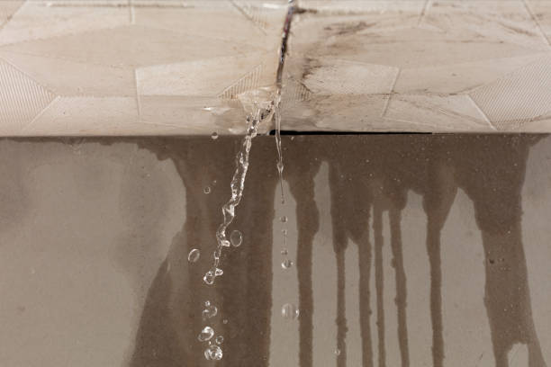 Professional Flood Damage Cleanup technician working in Holly Hill, FL